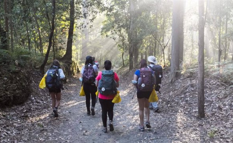 Peregrinos del Camino de Santiago recogieron casi 186 toneladas de basura que depositaron en 358 ecoalbergues