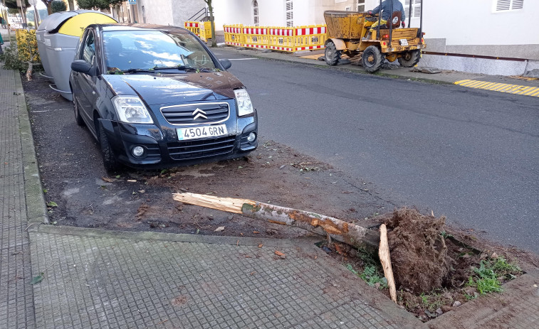 Un coche se sale de la vía y choca contra un árbol y contra otro vehículo estacionado en A Barcala