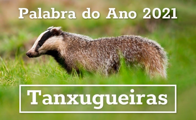 Tanxugueiras, a palabra do ano en Galicia escollida por votación popular