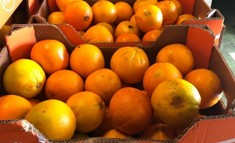 Las primeras naranjas del volcán de La Palma ya están a la venta