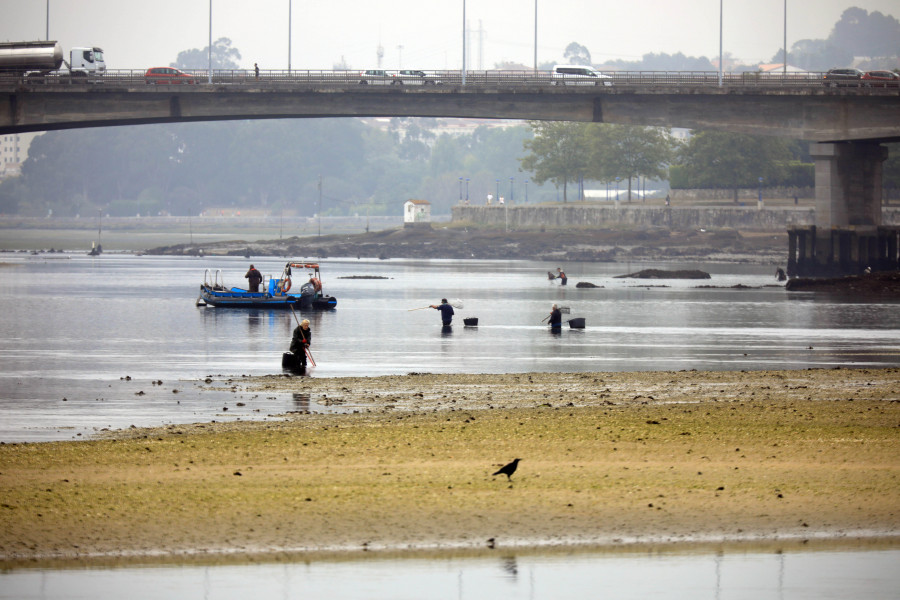 El Gobierno aprobará este mes las ayudas a mariscadores de la ría de O Burgo