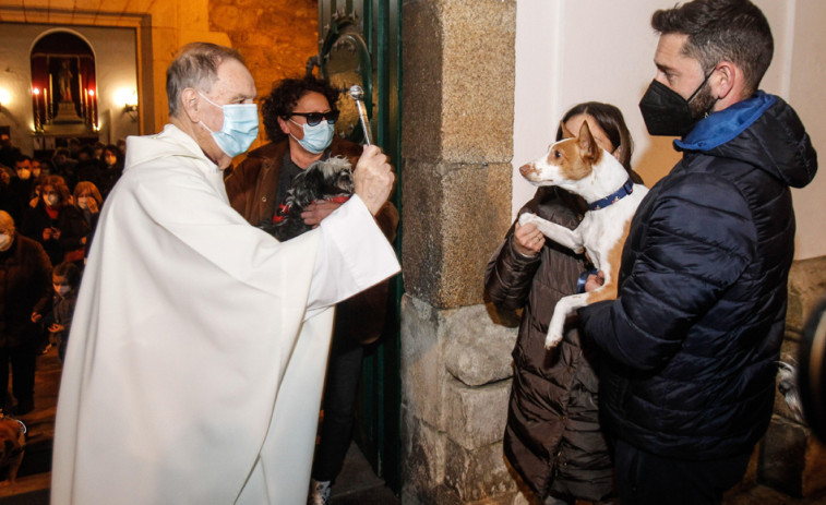 Las mascotas acuden a la  Orden Tercera para recibir la bendición por San Antonio Abad