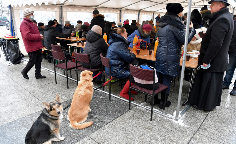 El 74% de las personas sin hogar ve a su perro como su principal apoyo social