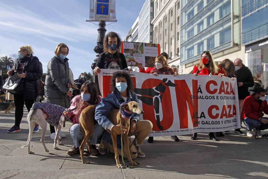 Animalistas protestan A Coruña y en 40 ciudades mas para decir "no a la caza"