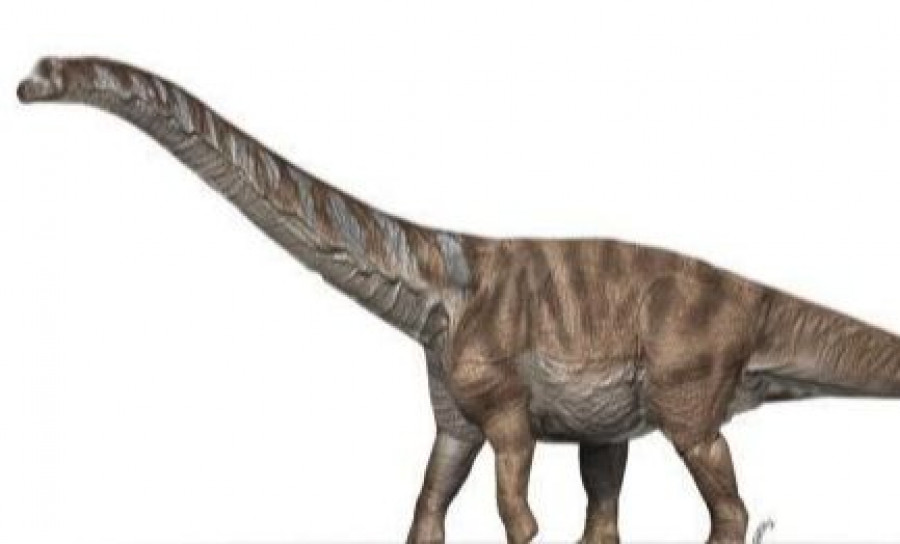 Descubren una nueva especie de dinosaurio que vivió en el Pirineo