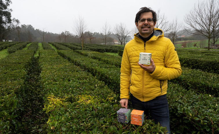 Orballo celebra diez años demostrando la calidad del té coruñés