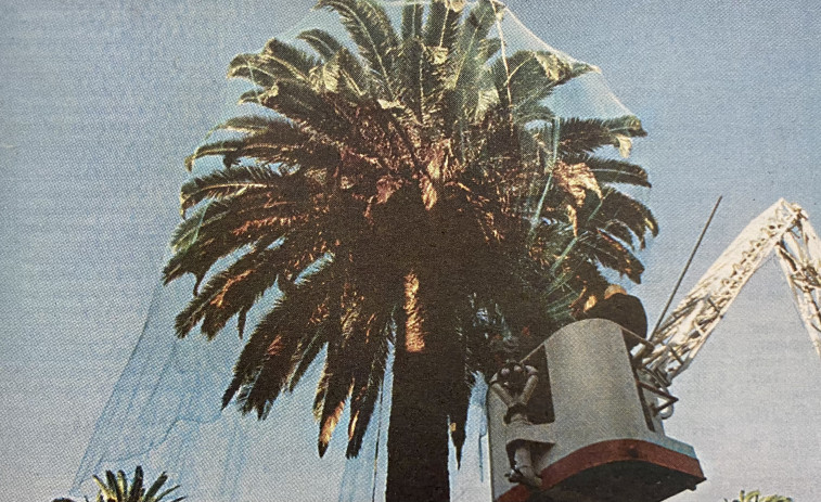 Hace 25 años: Guerra a los estorninos y primeros bañistas en las playas
