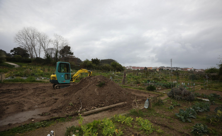 El Ayuntamiento adjudica las 318 parcelas de las huertas ecológicas