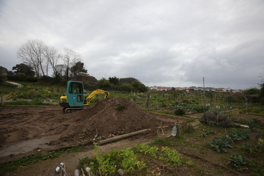 El Ayuntamiento adjudica las 318 parcelas de las huertas ecológicas