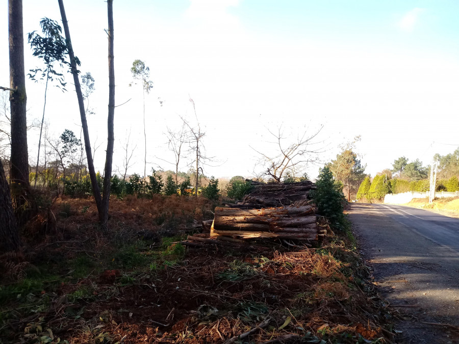 La Xunta controlará vía satélite las talas de madera realizadas en los montes gallegos