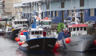 La flota gallega vuelve a faenar, aunque el cerco sigue amarrado hasta el lunes por incertidumbre del transporte