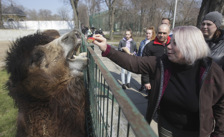 Reabre el zoo de Odesa con 500 animales 
