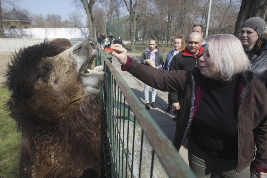 Reabre el zoo de Odesa con 500 animales "refugiados" a su cuidado