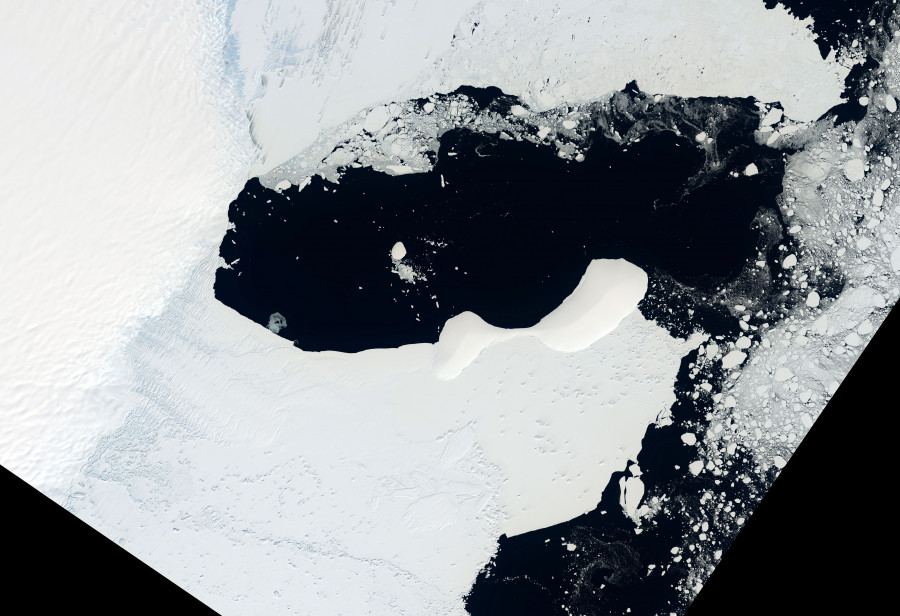 Una plataforma de hielo de más de 1.200 kilómetros cuadrados colapsa en la Antártida