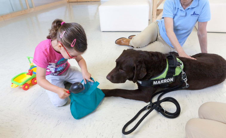 La Fundación Jove y el Chuac promueven un ensayo clínico sobre la intervención asistida con animales