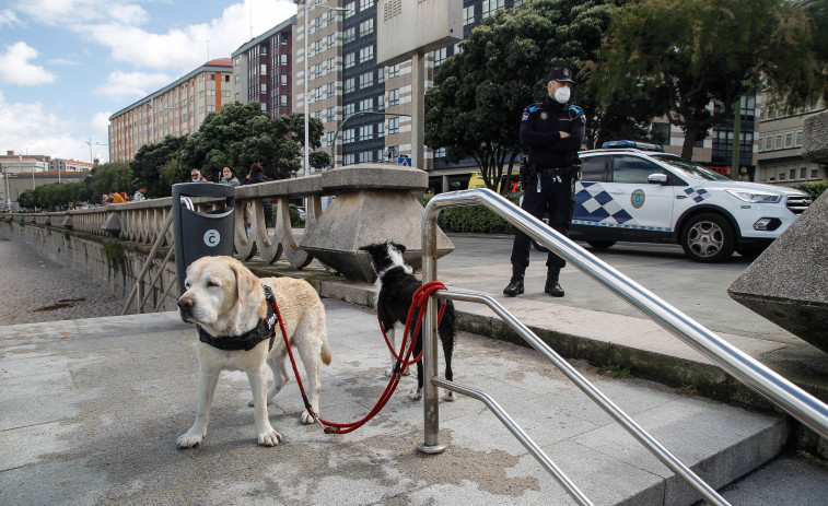 Dos turistas se lanzan al mar para auxiliar a sus perros y acaban siendo rescatados