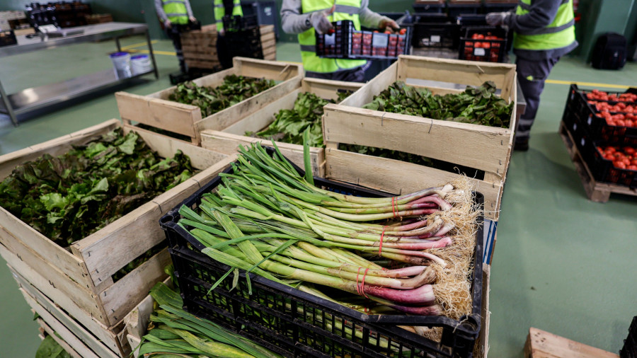 España, la 'Huerta de Europa', logró récord de producción de verduras en 2021