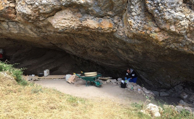 La carne de perro fue habitual en el menú de Atapuerca hasta la Edad Bronce