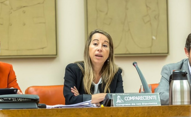 El PSOE pedirá imputación de la funcionaria Elena Collado por las mascarillas