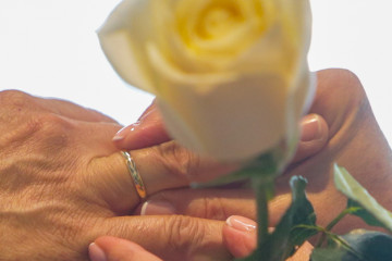 Boda