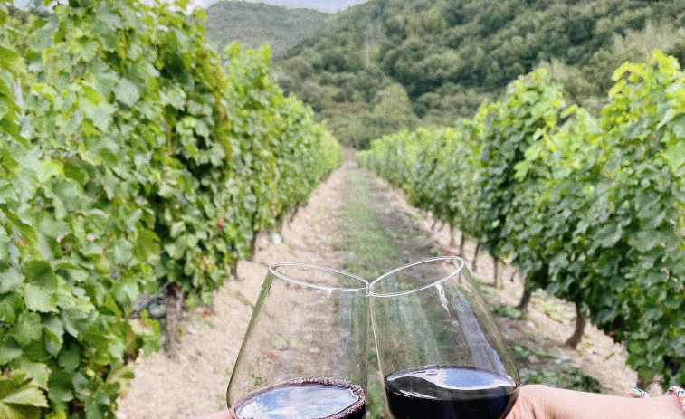 Ponte da Boga refuerza su oferta de enoturismo sostenible en la Ribeira Sacra