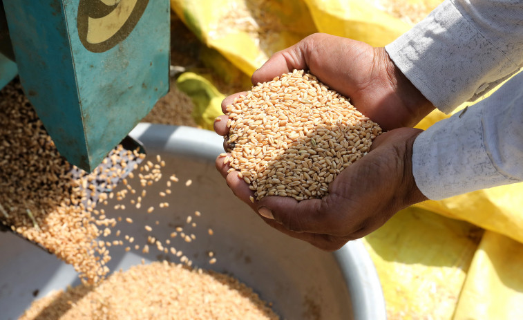 Rusia avisa que no exportará cereales en detrimento de su propio mercado