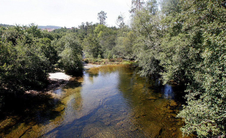 Investigado por arrojar dos perros atados a una piedra en el río Tea, en Covelo