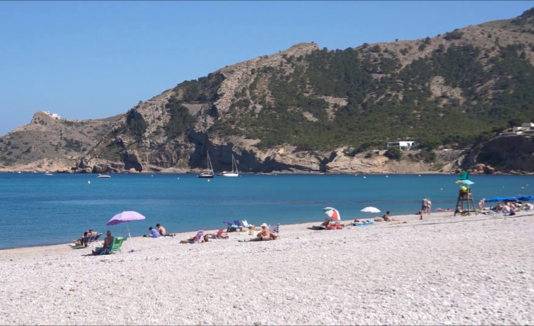 Susto en una playa de Alicante al salir del mar un jabalí y morder a bañista