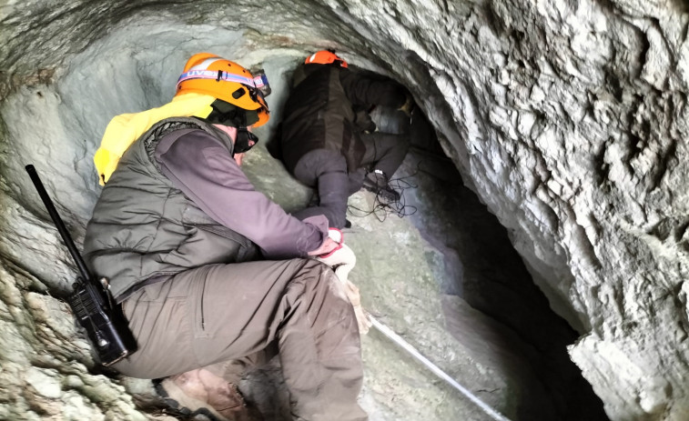 Confirman que el osezno está vivo y en la misma cueva que la hembra atacada