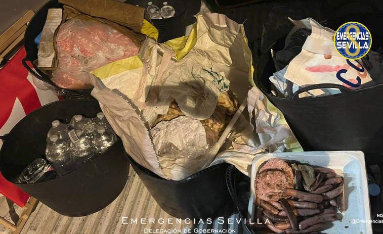 Intervenidos más de 50 kilos de carne en mal estado en la Cartuja que se inventaban vender en el concierto de Camilo