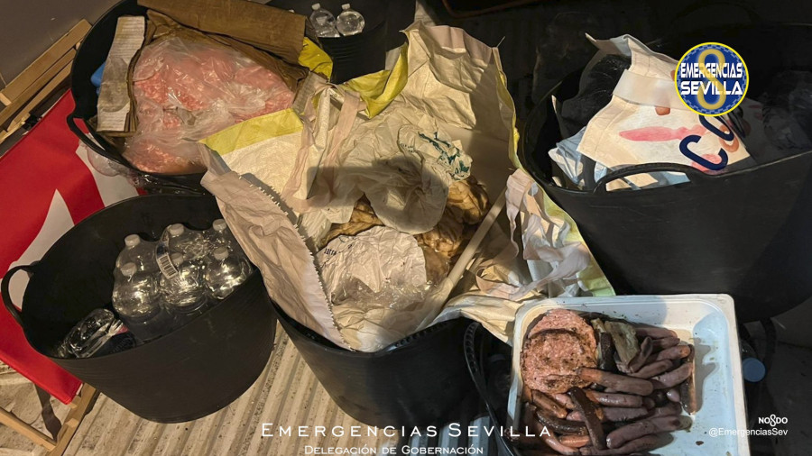 Intervenidos más de 50 kilos de carne en mal estado en la Cartuja que se inventaban vender en el concierto de Camilo