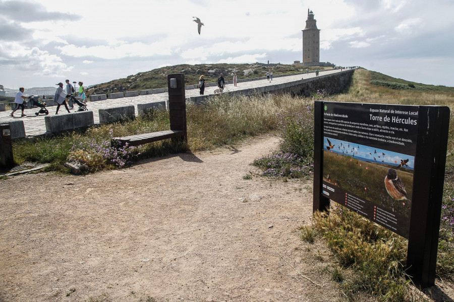 El Ayuntamiento renueva la cartelería en la Torre de Hércules y las Islas de San Pedro