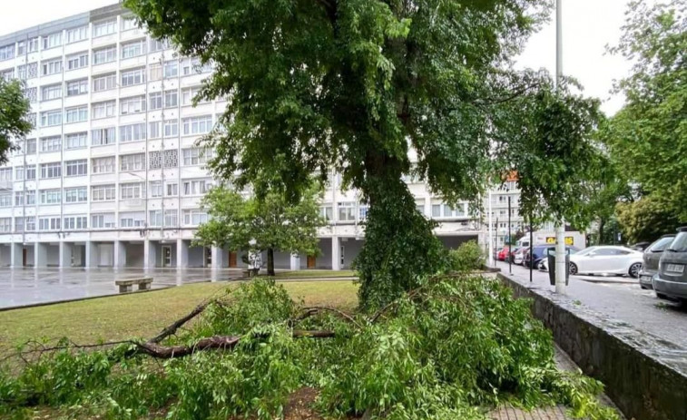 Alerta entre los vecinos del Barrio de las Flores por la caída de cascotes de hormigón