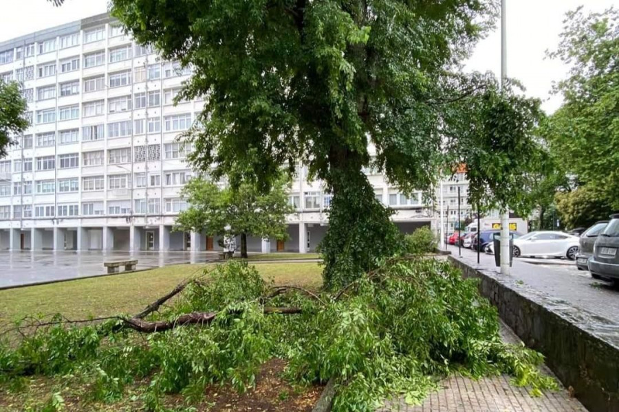 Alerta entre los vecinos del Barrio de las Flores por la caída de cascotes de hormigón