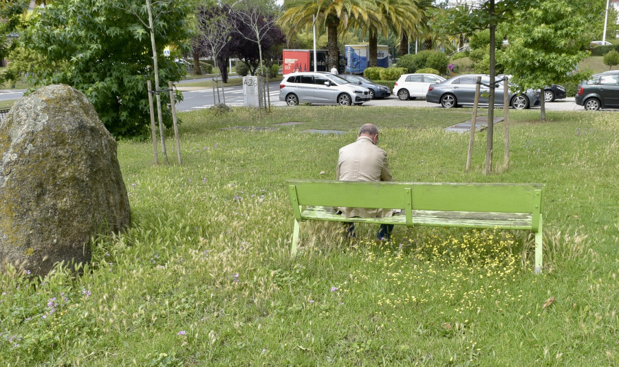 La asociación vecinal de Elviña denuncia la falta de   cuidado de las zonas verdes