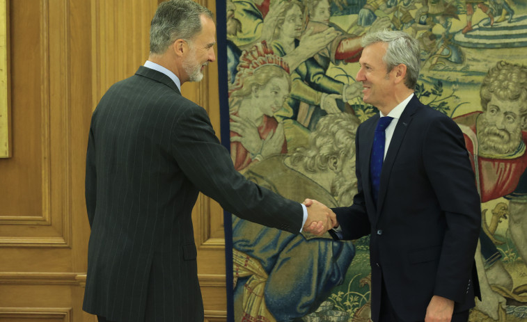 Felipe VI recibe al presidente de la Xunta en la Zarzuela