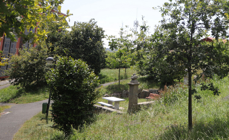 “Del lugar de Cances se olvidan”, dice un vecino que denuncia la irrupción de un jabalí en su finca
