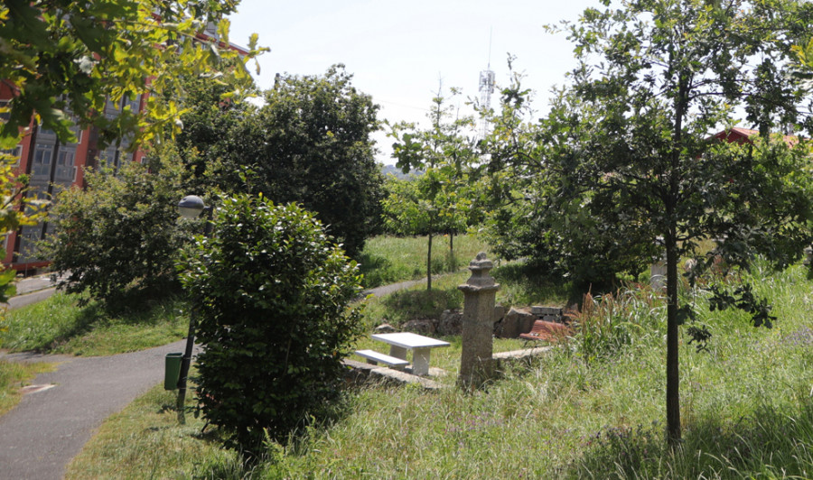 “Del lugar de Cances se olvidan”, dice un vecino que denuncia la irrupción de un jabalí en su finca