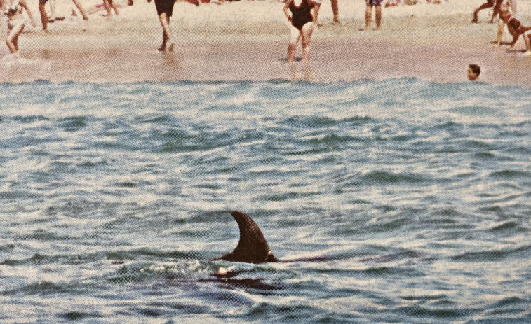 Hace 25 años: Delfines en el Orzán y escuela de verano de las Xuventudes Socialistas