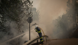 La ola de incendios ha arrasado ya casi 13.800 hectáreas en Galicia