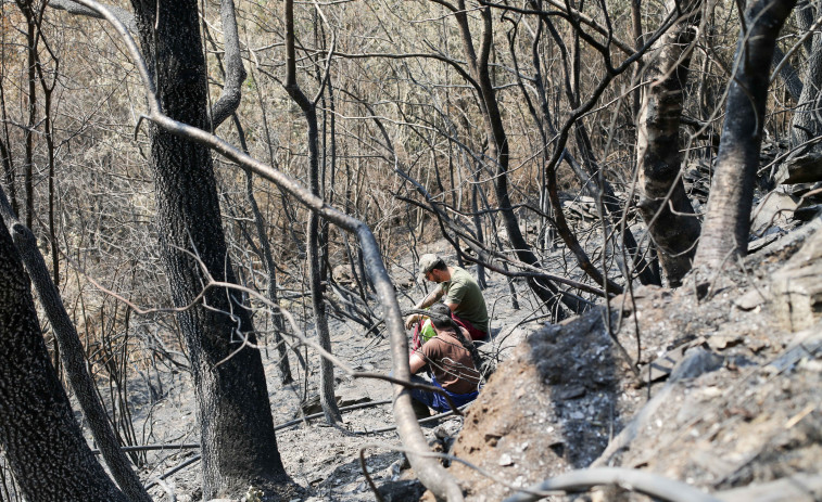 En Galicia siete incendios siguen activos y cuatro ya están extinguidos