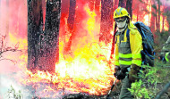 Los incendios y el “ecologismo extremo”
