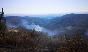 Las emergencias de la comarca se vuelcan en la extinción de incendios en Lugo y Ourense