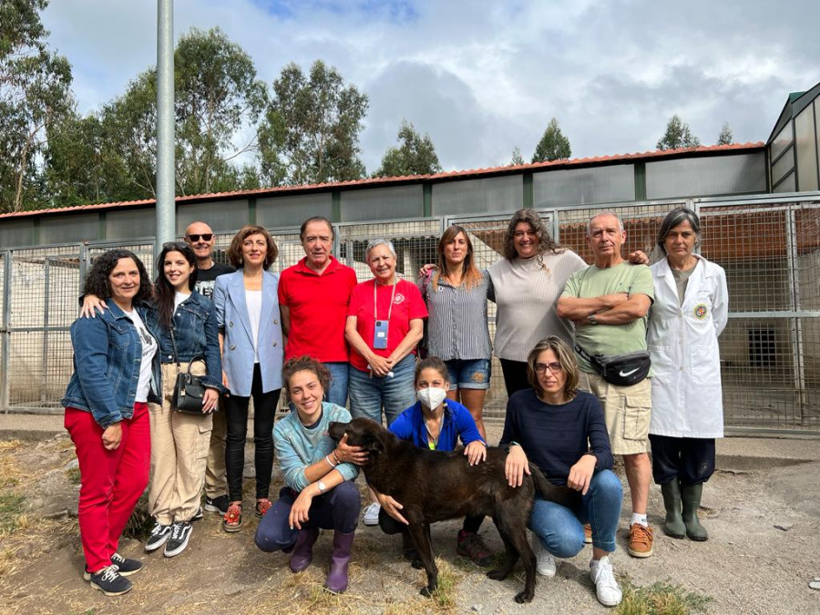 La muerte de Lucho servirá para cambiar la ley de Bienestar Animal