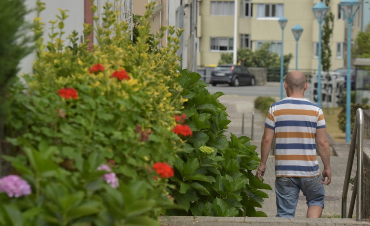 Los vecinos del Barrio de Las Flores cortarán sus problemas por la raíz