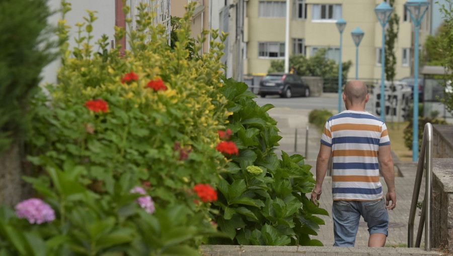 Los vecinos del Barrio de Las Flores cortarán sus problemas por la raíz