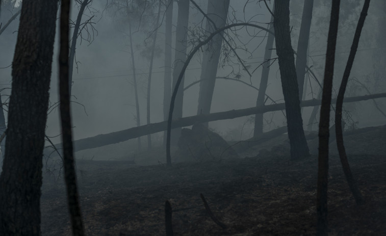 El incendio de Arbo llega a las 300 hectáreas quemadas