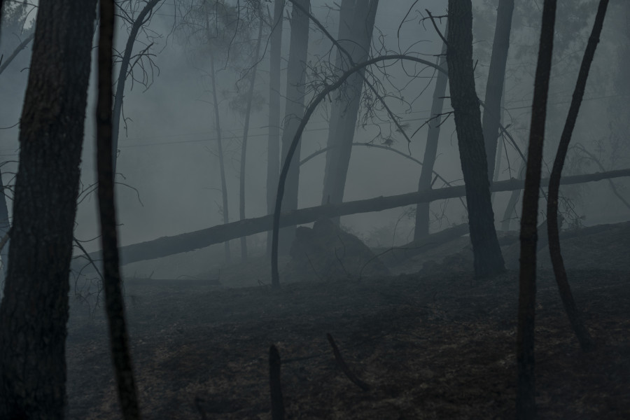 El incendio de Arbo llega a las 300 hectáreas quemadas