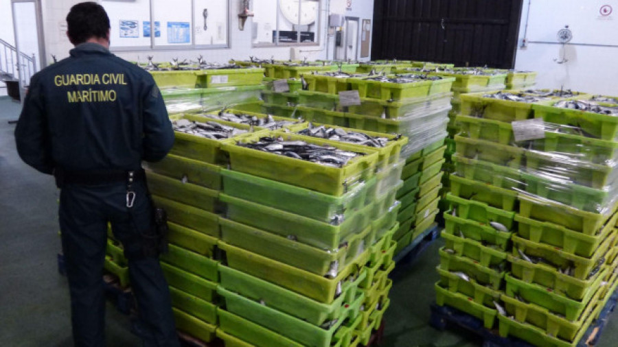 La Guardia Civil incauta cinco toneladas de sardina en el puerto