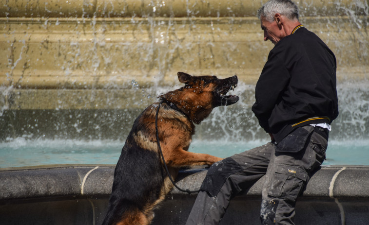 El Reino Unido afronta una segunda ola de calor